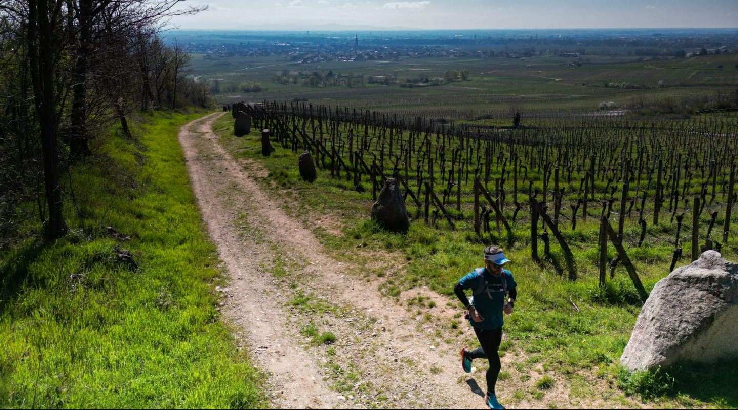 trail alsace grand est